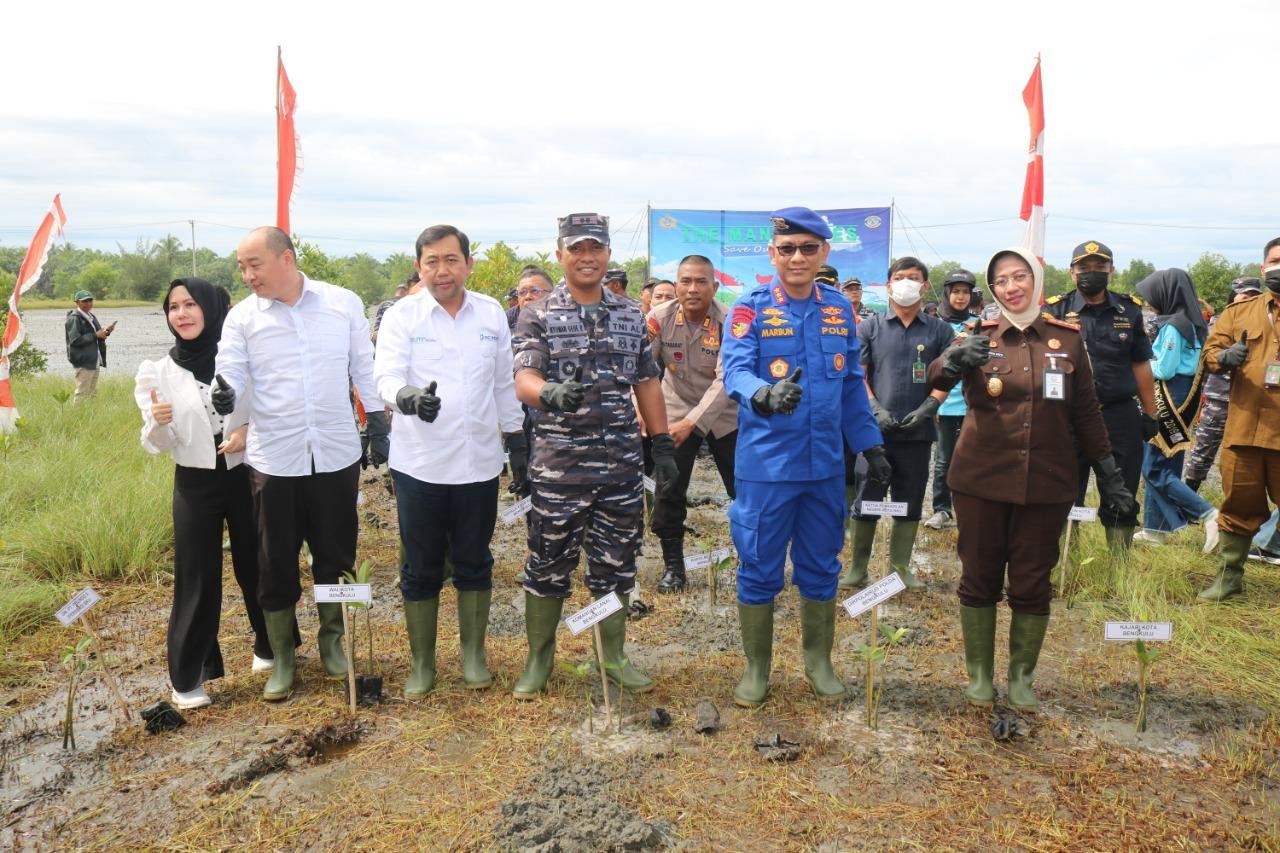 Hari Mangrove Sedunia 26 Juli 2022, Lanal Bengkulu Tanam 6 Ribu Bibit Mangrove di Pulau Baai