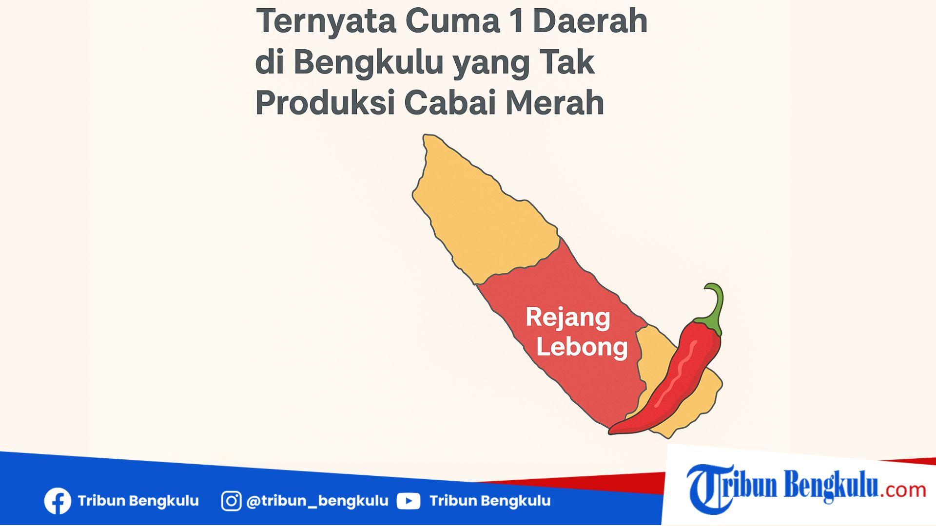 Ilustrasi-wilayah-tak-hasilkan-cabai-keriting-di-Bengkulu.jpg