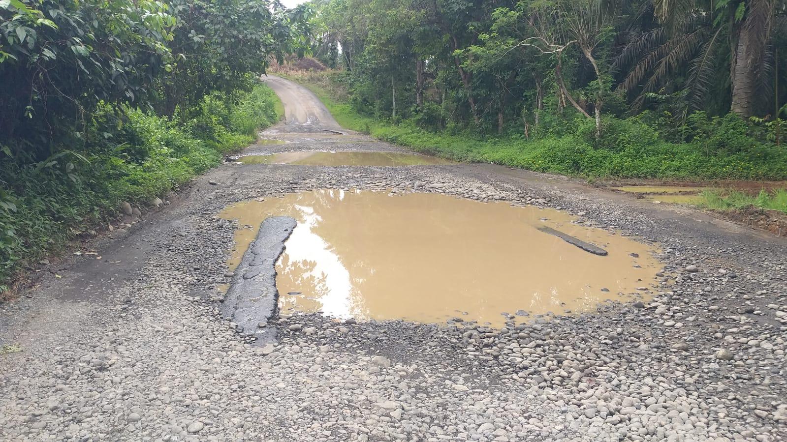 BREAKING NEWS: Bupati Mian Surati Gubernur, Begini Kondisi Terkini Jalan Provinsi di Bengkulu Utara