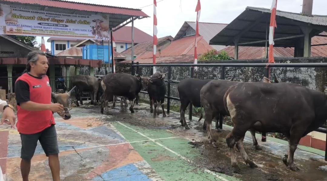 KURBAN-KEPAHIANG-2026.jpg