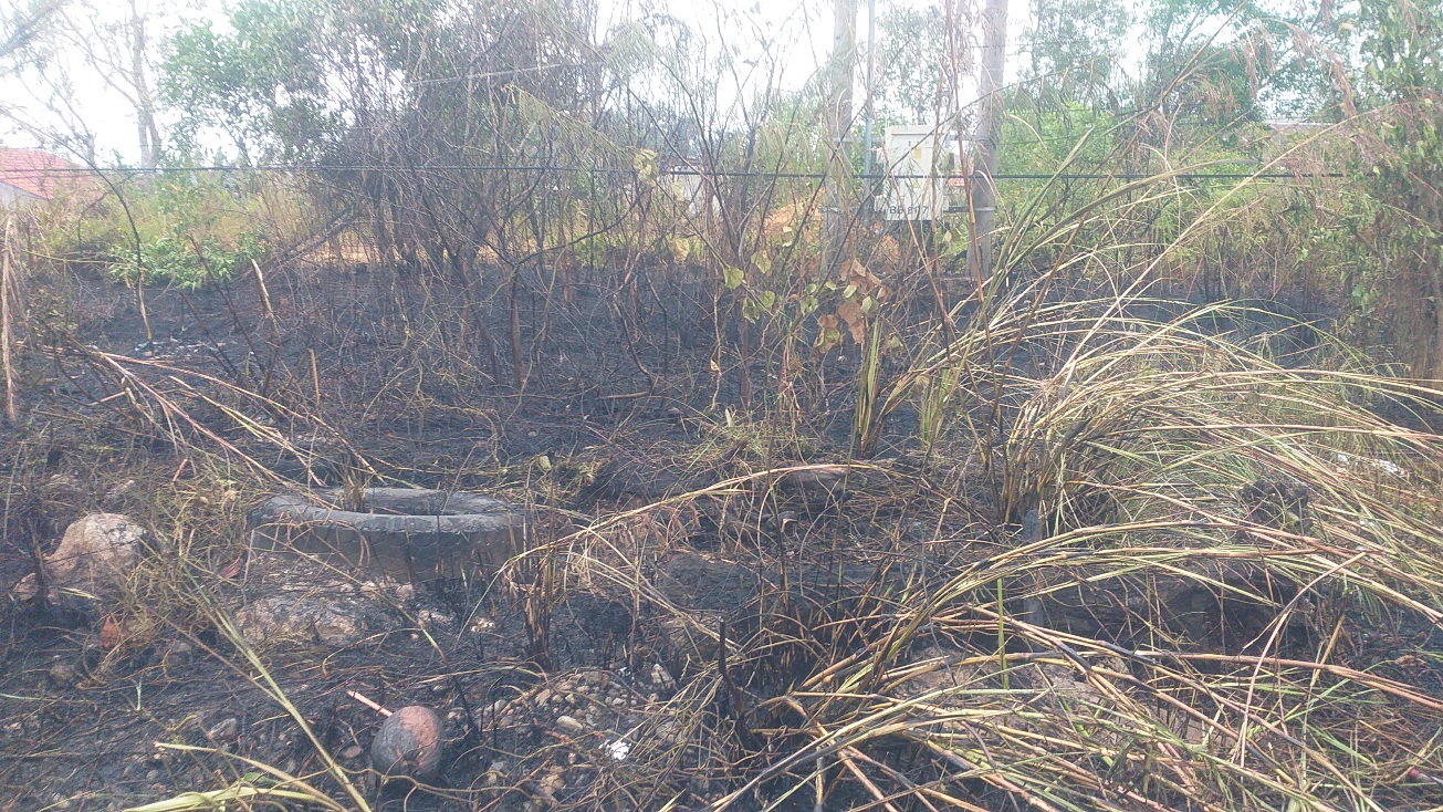 Rapat Evaluasi, Satgas Karhutla Temukan Ada Lahan Sengaja Dibakar di Kota Bengkulu
