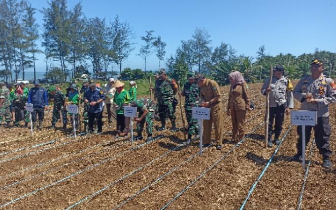 Kodim-kota-bengkulu-tanam-jagung.jpg