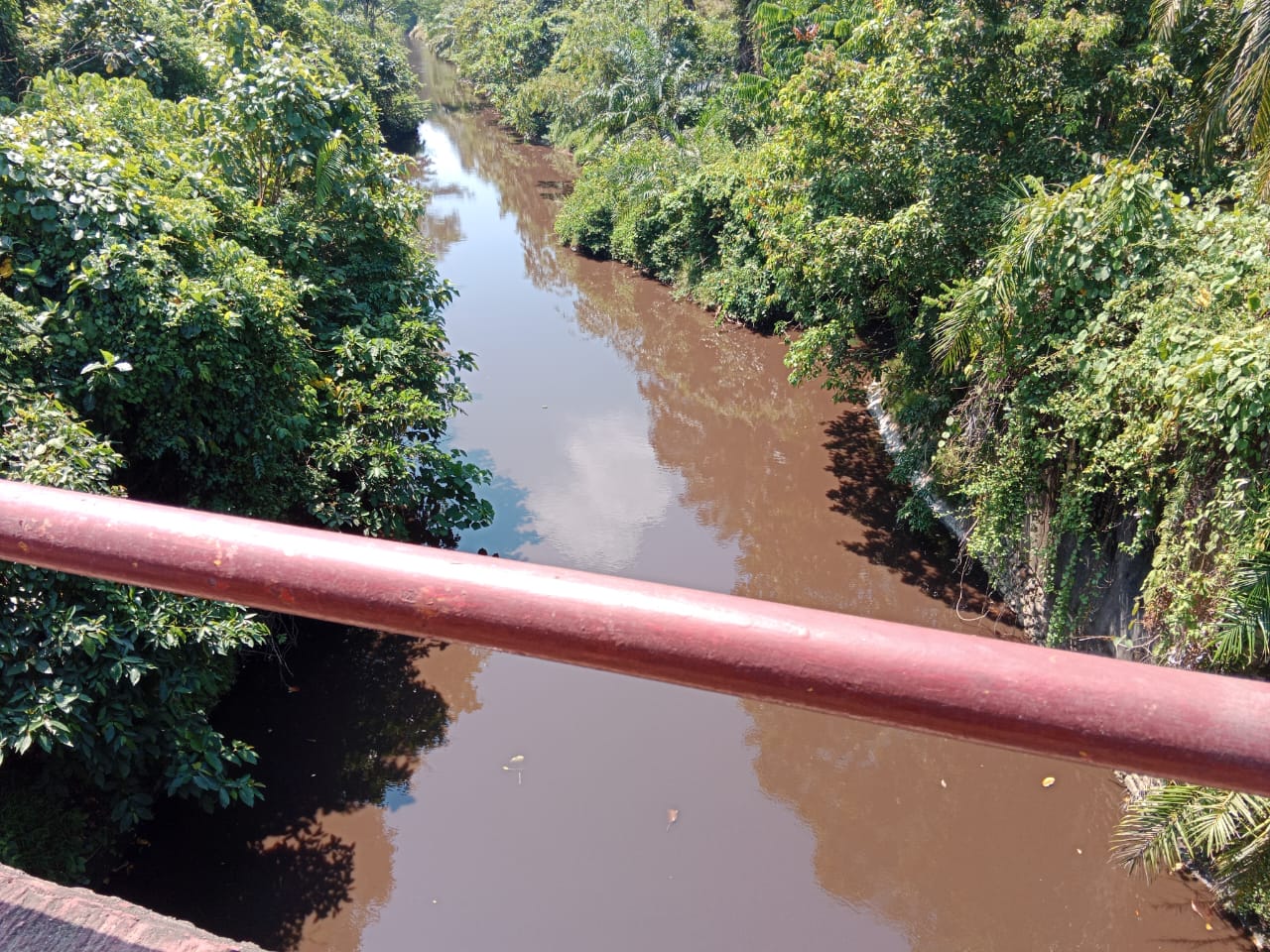 Terbukti Cemari Sungai Mertam, Pemkab Bengkulu Selatan Belum Berikan Sanksi ke PT. BSL