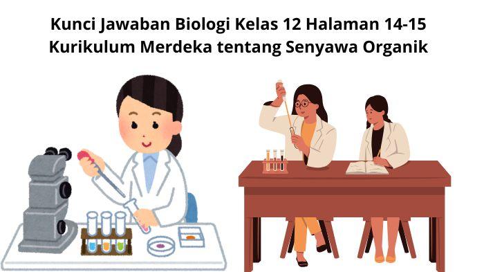 Kunci-Jawaban-Biologi-Kelas-12-Halaman-14-15-Kurikulum-Merdeka-tentang-Senyawa-Organik.jpg