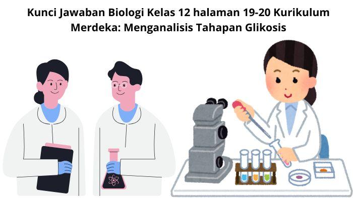 Kunci-Jawaban-Biologi-Kelas-12-halaman-19-20-Kurikulum-Merdeka-Menganalisis-Tahapan-Glikosis.jpg