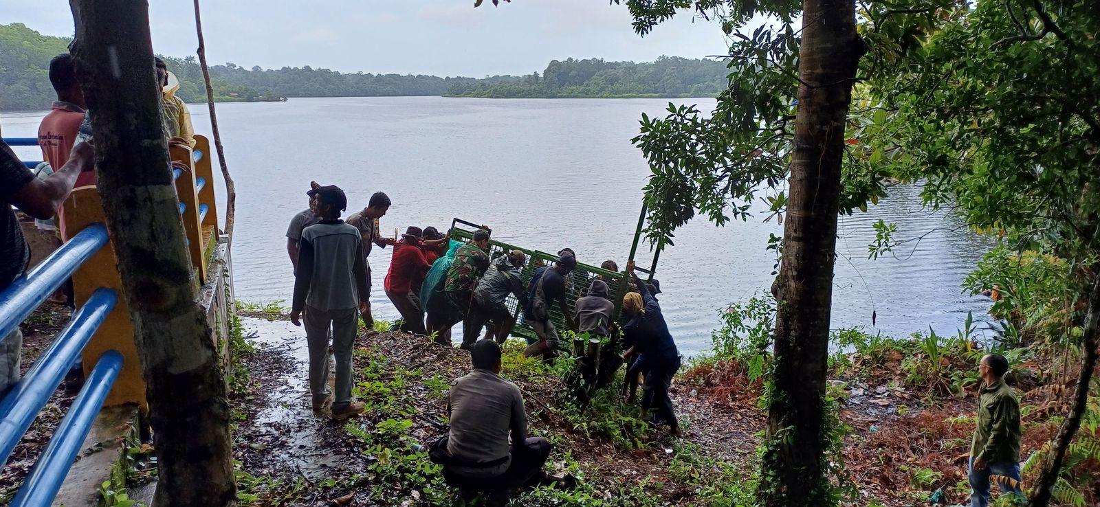 Pemasangan-perangkap-harimau-di-Danau-Lebar-Mukomuko.jpg