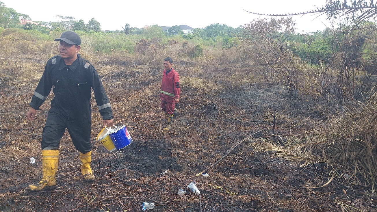 Hadapi Ancaman Karhutla, Pemkot Bengkulu Bentuk Satgas hingga Level Kecamatan