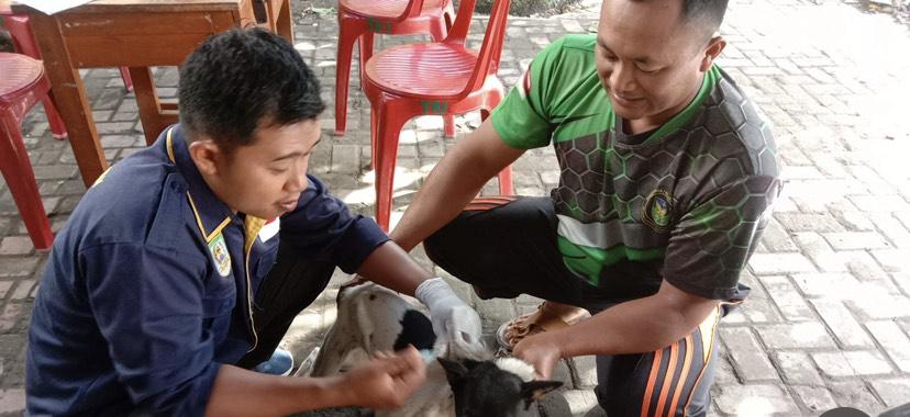 Kabupaten Rejang Lebong Kekurangan Vaksin Anti Rabies, Terdata Ada 39 Ribu HPR