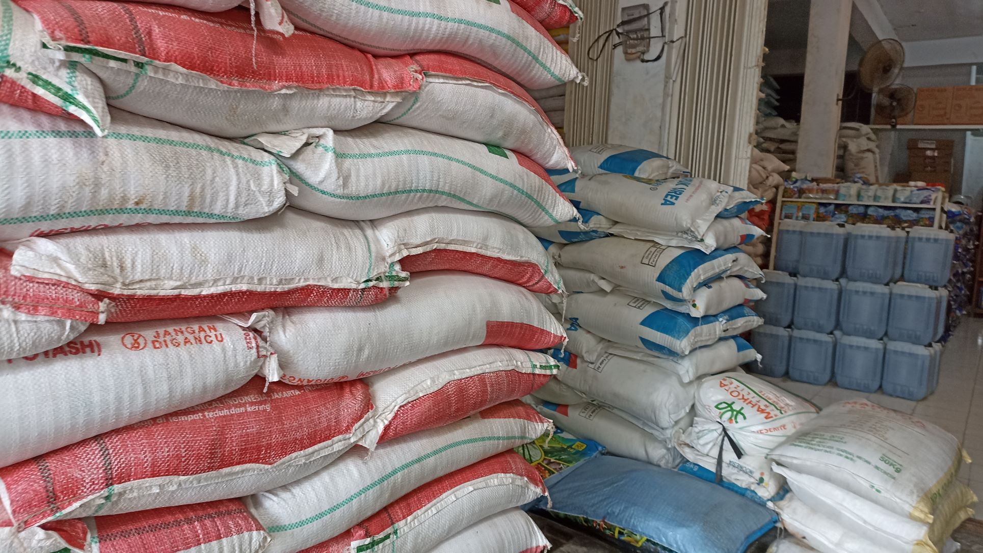 Harga Pupuk Mahal, Penjual Pupuk di Bengkulu: Petani Mengeluh Semua