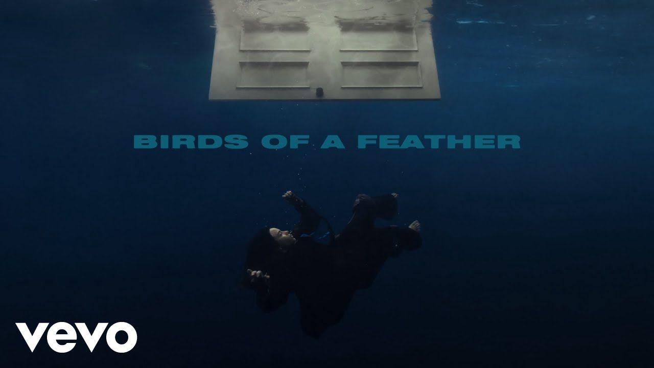 Simak-lirik-lagu-Birds-of-A-Feather-single-terbaru-dari-Billie-Eilish.jpg