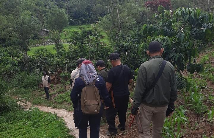 Tidak-ada-jejak-beruang-7-juni-2026.jpg