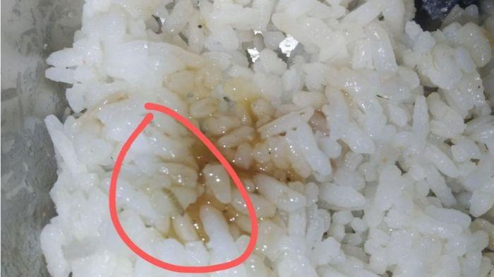 Kronologi Ulat Ditemukan