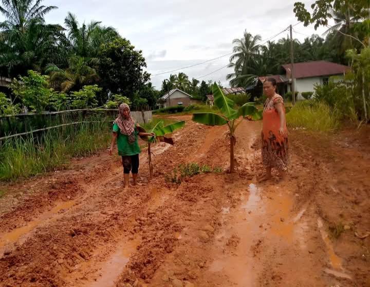 Warga-Padang-kuas-Seluma-protes-jalan-tak-dibangun.jpg