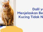 10-Dalil-Bekas-Kucing-Tidak-Najis-Penjelasan-Hadits-Abu-Daud-dan-Hadits-Ahmad.jpg
