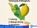 3-wilayah-penghasil-buah-mangga-terbesar-di-Bengkulu.jpg