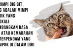 Amarah-yang-Terpendam-Ternyata-Arti-Mimpi-Digigit-Kucing-Tanda-Kamu-Harus-Ambil-Tindakan.jpg