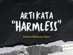 Arti-Harmless-dalam-Bahasa-Gaul-di-Media-Sosial-Menggambarkan-Sesuatu-yang-Tidak-Merugikan.jpg