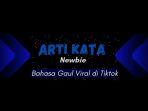 Arti-Kata-Newbie-Istilah-Bahasa-Gaul-yang-Viral-di-Tiktok-Ternyata-ini-Maknanya.jpg