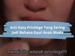 Arti-Kata-Privilege-Dalam-Bahasa-Gaul.jpg