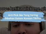 Arti-Pick-Me-Yang-Sering-Dijadikan-Dalam-Konten-TikTok.jpg