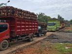 Catat-Ini-Jadwal-Tutup-4-Pabrik-Sawit-di-Bengkulu-Tengah-Jelang-Hari-Raya-Idulfitri-2025.jpg