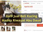 Dalil-Hadits-Jual-Beli-Kucing-Riwayat-Abu-Daud.jpg