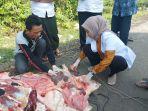 Dokter-hewan-temukan-cacing-hati-pada-hewan-kurban.jpg
