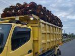 Harga-sawit-di-Mukomuko-naik-Rp-40-per-Kg-masih-dibawah-harga-acuan.jpg