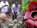 Holidin-menunjukkan-Bunga-Rafflesia-Arnoldi-ke-Presiden-Jokowi-saat-ke-Bengkulu.jpg