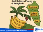 Ilustrasi-3-daerah-dengan-produksi-pisang-terbanyak-di-Bengkulu.jpg