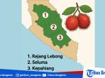 Ilustrasi-daerah-penghasil-rambutan-di-Bengkulu.jpg