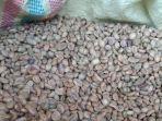 Kopi-curup-14-juli.jpg