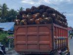 Naik-Rp-20-per-kilogram-harga-tbs-sawit-di-mukomuko-bengkulu-belum-sesuai-auan.jpg