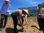 Polres-Mukomuko-Optimis-panen-jagung-sebanyak-300-ton.jpg