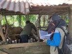 memberikan-vaksin-hewan-ternak.jpg