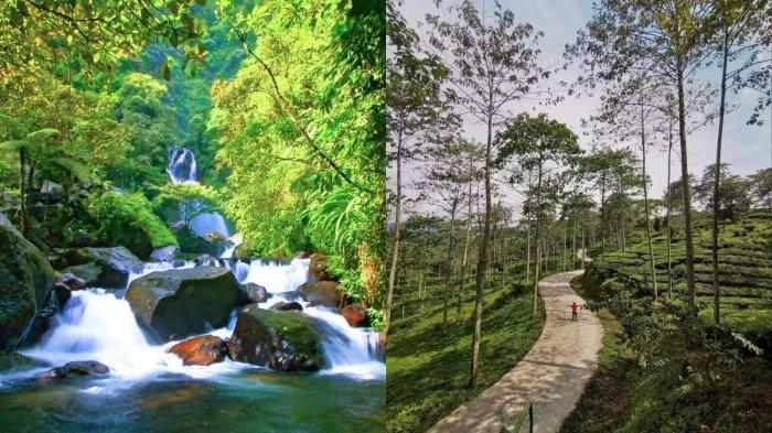 5 Alternatif Tempat Wisata di Bogor Selain Puncak untuk Liburan Akhir Tahun, Bebas Macet