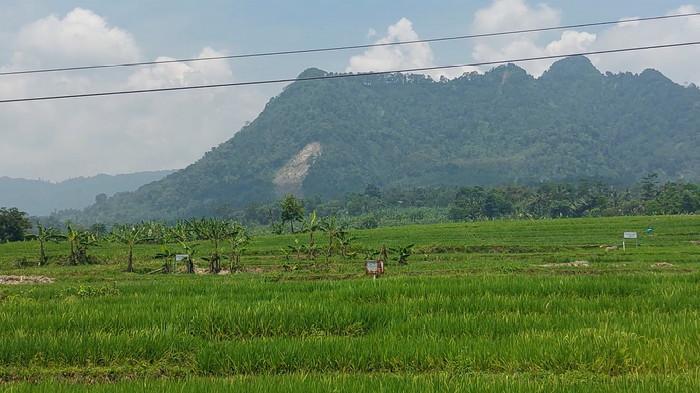HEBOH DESA DILELANG - Pemandangan Desa Sukamulya, Kabupaten Bogor. Adanya desa yang akan dilelang karena jadi jaminan utang di wilayah Kabupaten Bogor kejutkan banyak pihak.