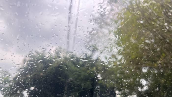 Prakiraan Cuaca Kota Bogor Hari Ini, Rabu 29 Oktober 2025: Pagi Berawan, Siang Hujan Petir