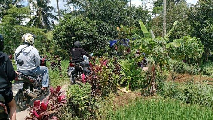 Menjajal Jalan Alternatif Penghubung Caringin - Ciawi, Pemotor Sampai Ada yang Jatuh ke Sawah