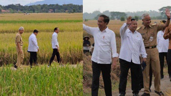 Prabowo Ganjar Semringah Selfie Bareng Jokowi di Tengah Sawah, Pengamat : Menang Mudah dalam Pilpres