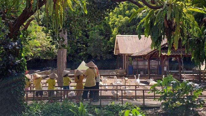 7 Tempat Wisata di Bogor Ini Jadi Surganya Anak-anak, Banyak Permainan Seru yang Mendidik