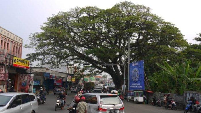 Unik! Ini Kata-kata yang Biasa Digunakan Warga Parung Bogor Saat Ngobrol, Kamu Pakai yang Mana?