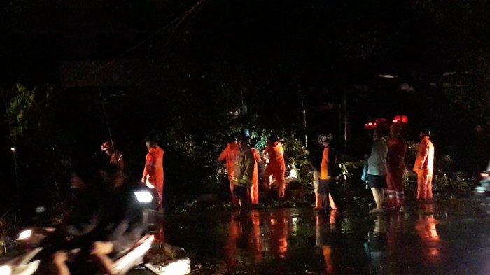 Angin Kencang Landa Cibinong Bogor, Sejumlah Pohon Tumbang Bikin Listrik di Sekitar Pakansari Padam