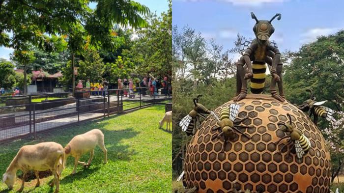 5 Tempat Wisata Peternakan di Bogor HTM Mulai Rp15.000, Interaksi Langsung dengan Hewan Jinak!