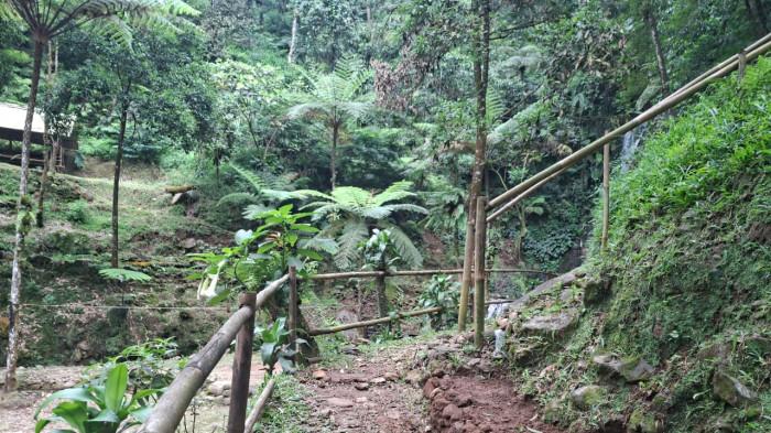TEMPAT WISATA BOGOR - Trekking menuju Curug Ngumpet dengan menyusuri jalan setapak di tengah lebatnya hutan tropis, udara segar dan suara gemericik air yang membuat hati terasa damai.