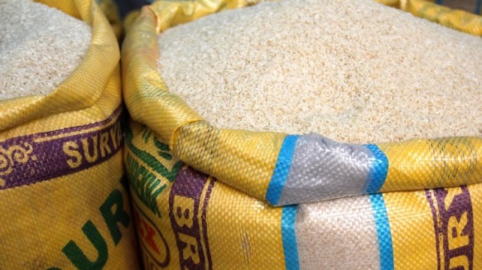 Kembangkan Pangan Berbasis Potensi Lokal, Sekolah Vokasi IPB University Gelar Pameran Inovasi 3.0