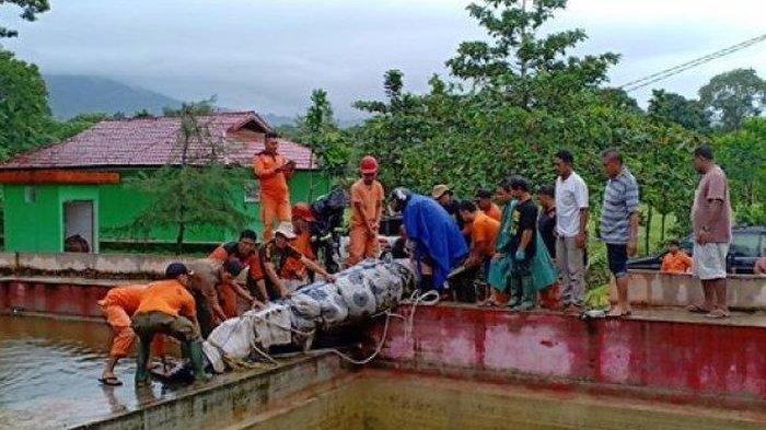 Buaya yang Serang Deasy Tewas, Dokter Autopsi Temukan Tulang Manusia di Perutnya