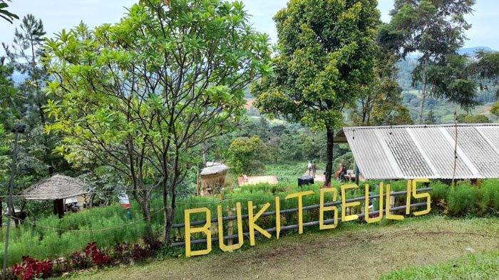 Lepas Penat di Tempat Wisata Bogor Ini, Bukit Geulis Punya Spot Foto Menawan dengan View Perbukitan