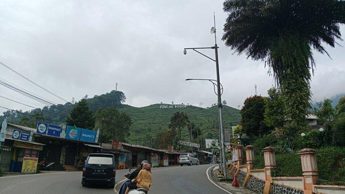BMKG Citeko: Cuaca di Kawasan Puncak Bogor Pagi Ini Cerah, Siang hingga Malam Hari Hujan Ringan