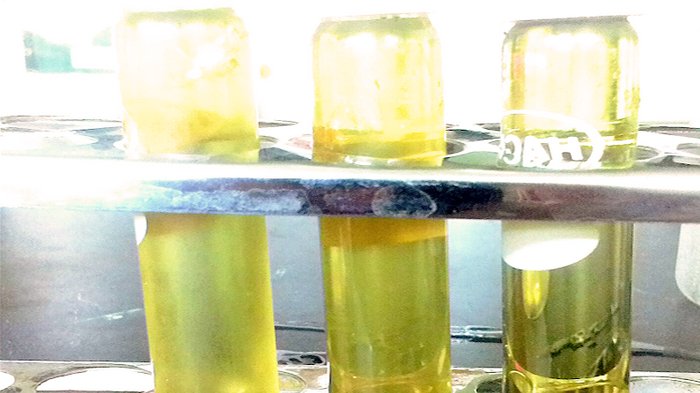 Mahasiswa  IPB Ciptakan Golden Sugar Syrup, Ini Kelebihannya